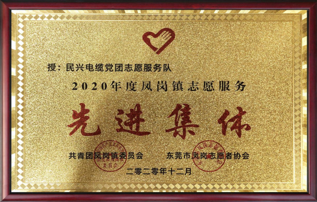 cq9电子官网党团志愿服务队蝉联“先进集体”荣誉称号
